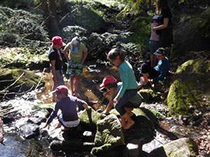 La maison du beau vosges